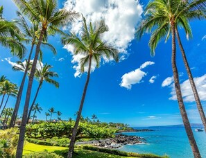 Condo, 2 Bedrooms | Beach | Beach nearby - Makena Surf by Coldwell Banker Island Vacations (Kihei)