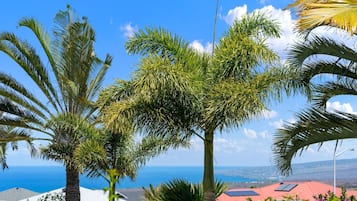 House, 3 Bedrooms | Property grounds