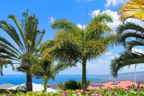 House, 3 Bedrooms | Property grounds - Big Island Awamoa Hale 3 Bedroom Home (Waikoloa)