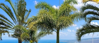 Big Island Awamoa Hale 3 Bedroom Home