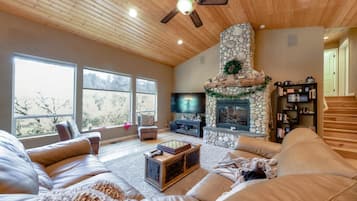 Smart TV, chimenea, reproductor de DVD y libros