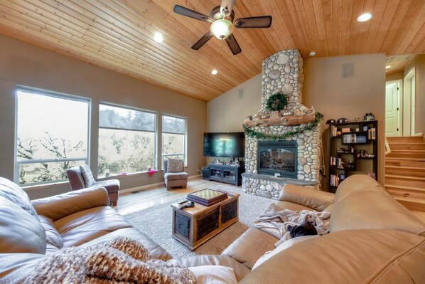 Smart TV, chimenea, reproductor de DVD y libros 