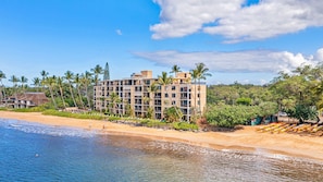 Condo, 1 Bedroom | Beach | On the beach