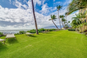 Condo, 1 Bedroom | Property grounds
