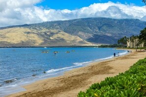 コンドミニアム 1 ベッドルーム | ビーチ