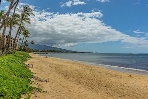 A beach with palm trees, a sandy shore, and a clear sky. - Maalaea Surf, #c-8 2 Bedroom Condo by RedAwning (Kihei)