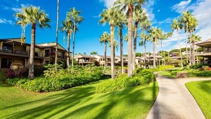 Condo, 1 quarto | Área da propriedade