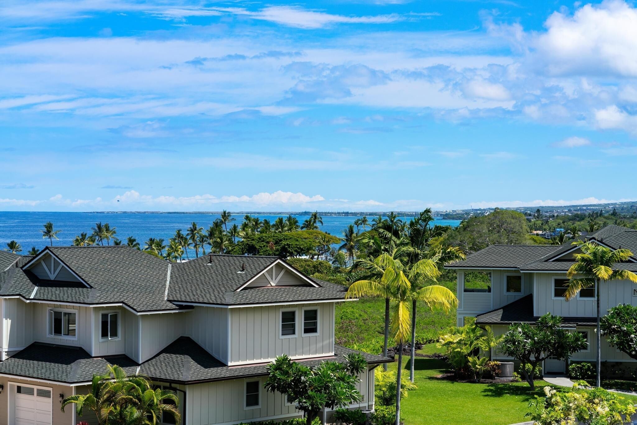A residential area with houses, palm trees, and a view of the ocean.