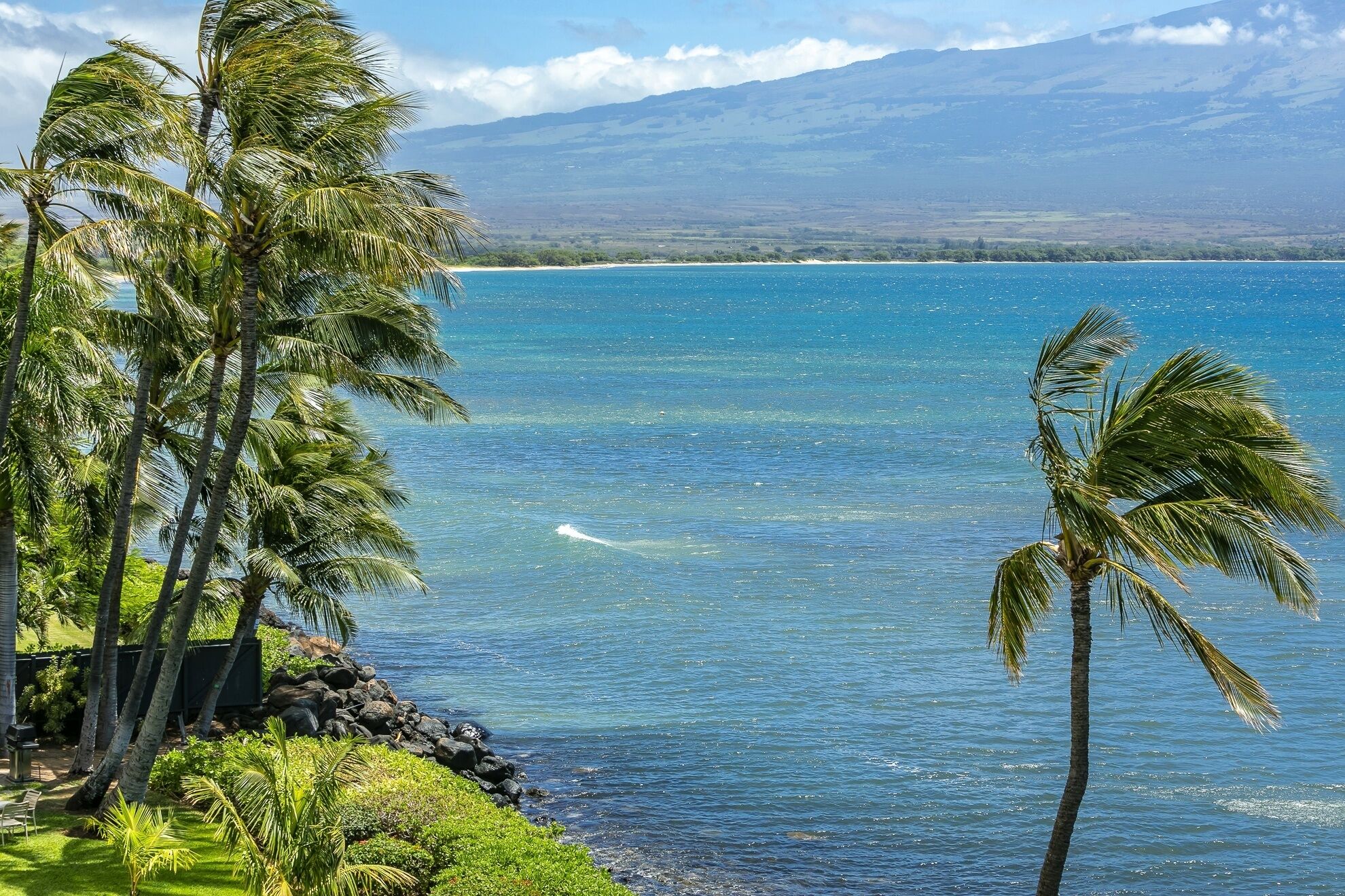 Vista costera con palmeras y un mar azul y despejado.