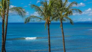 Condo, 2 Bedrooms | Beach | On the beach