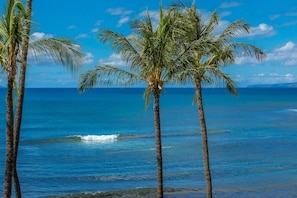 Appart'hôtel, 2 chambres | Plage