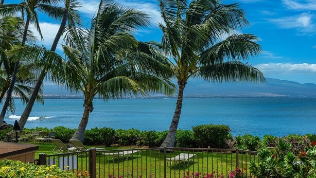 A tropical garden with palm trees, a pool, and a view of the ocean.