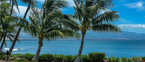 Condo, 1 Bedroom | Property grounds