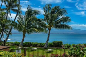 A tropical garden with palm trees, a pool, and a view of the ocean. - Maalaea Banyans by Coldwell Banker Island Vacations (Wailuku)