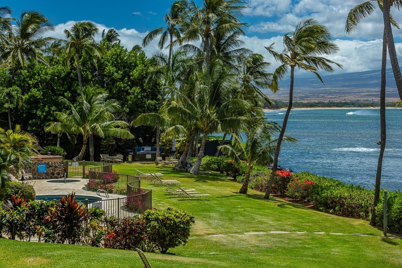 Apartamento, 1 habitación | Jardines del alojamiento