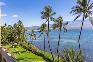 Condo, 2 Bedrooms | Property grounds