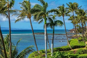 Condo, 2 Bedrooms | Property grounds