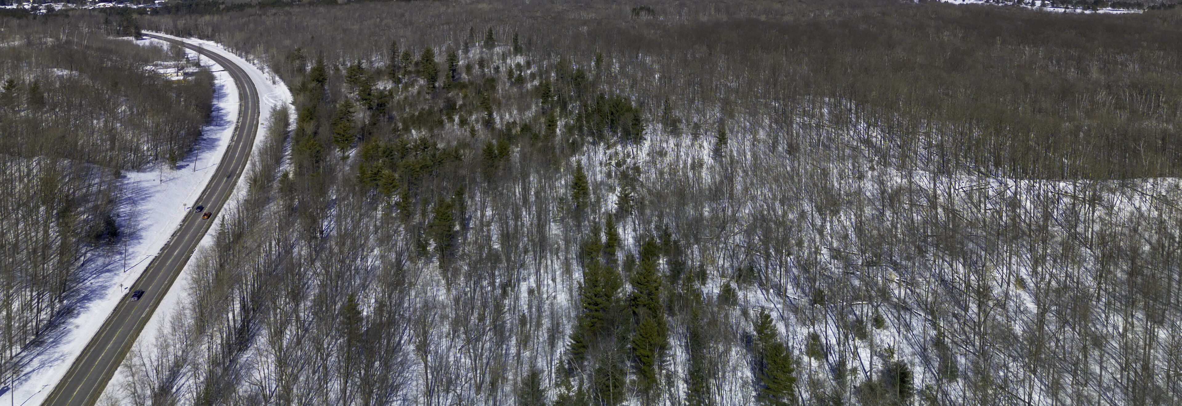 A snow-covered landscape with a winding road and sparse trees.