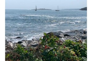 Eine felsige Küstenlinie mit brechenden Wellen.