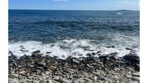 Une côte rocheuse où les vagues s’écrasent contre les rochers.
