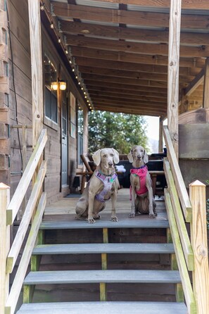 Property grounds - Pet-Friendly Mountain Log Cabin for Couples (Hot Springs)