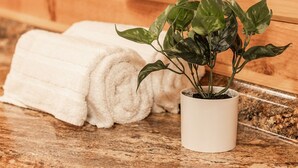 A wooden wall with a towel rack holding two white towels, a rolled towel, and a potted plant with green leaves. - Pet-Friendly Mountain Log Cabin for Couples (Hot Springs)