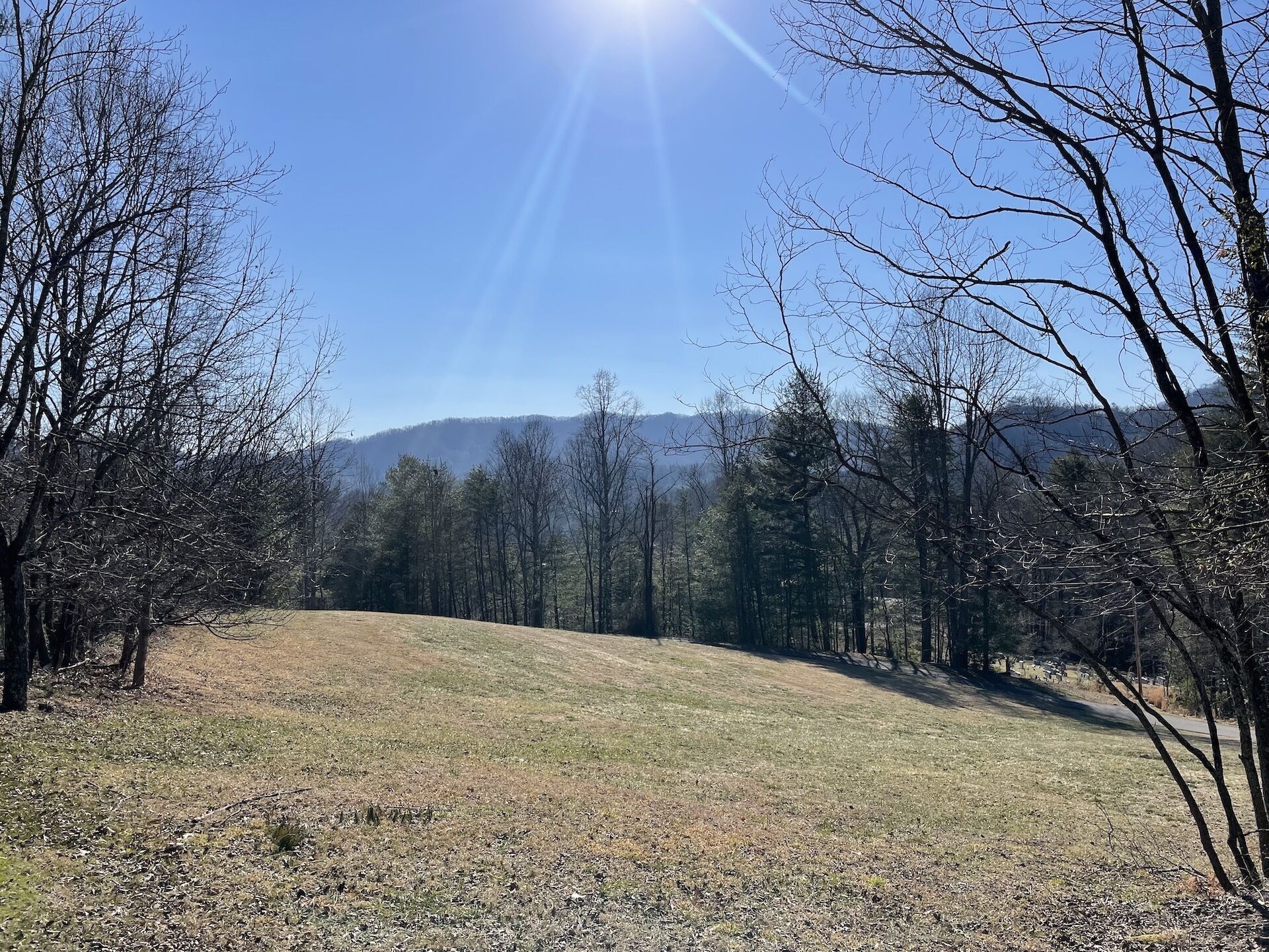 Ein grünes Feld mit Bäumen und Bergen im Hintergrund.