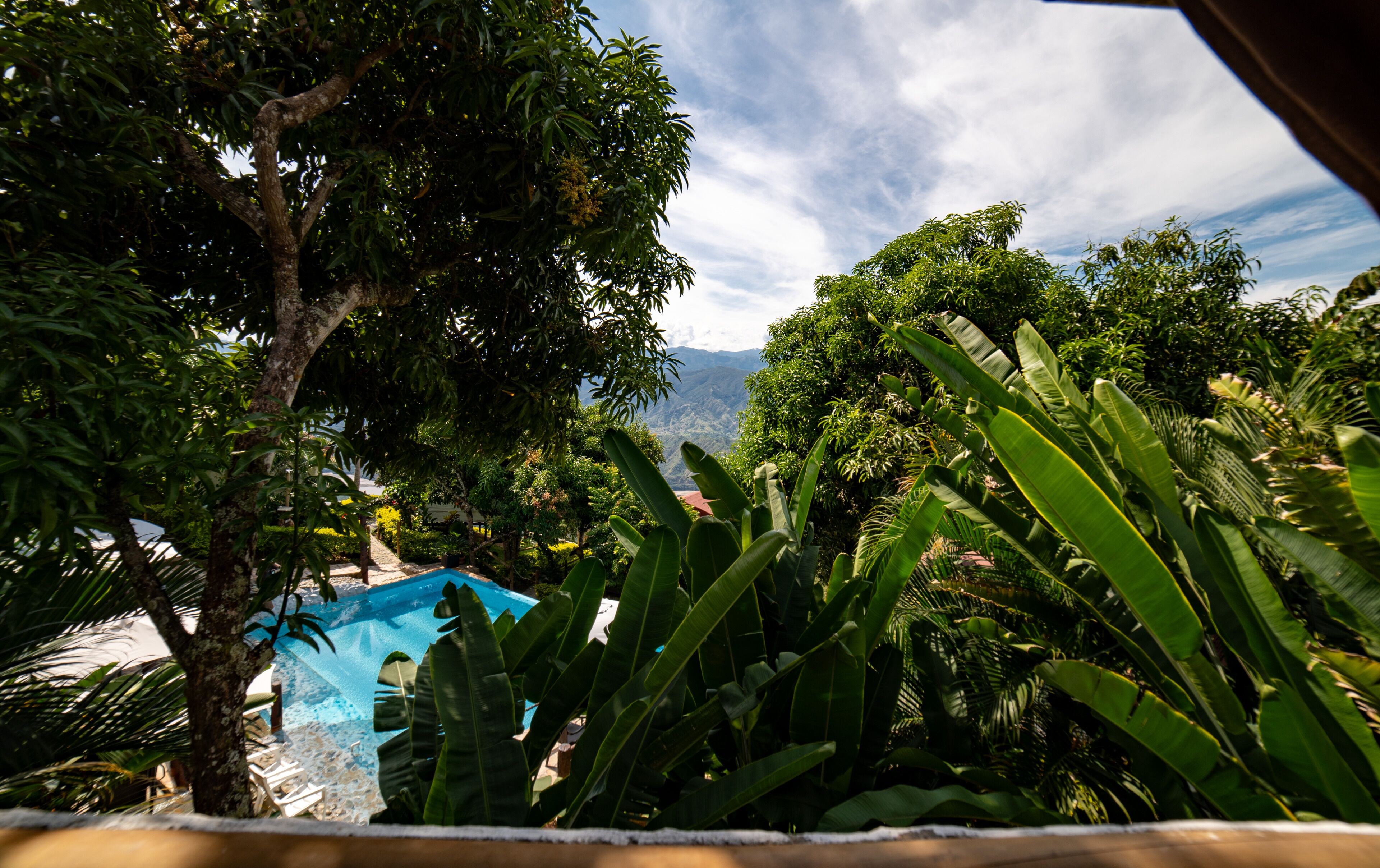 A pool surrounded by lush tropical vegetation and a mountainous backdrop.