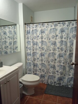 Secador de pelo y toallas