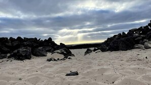 A beach with large rocks and a cloudy sky. - Apartment La Verita, Caleta de Fuste (Castillo Caleta de Fuste)