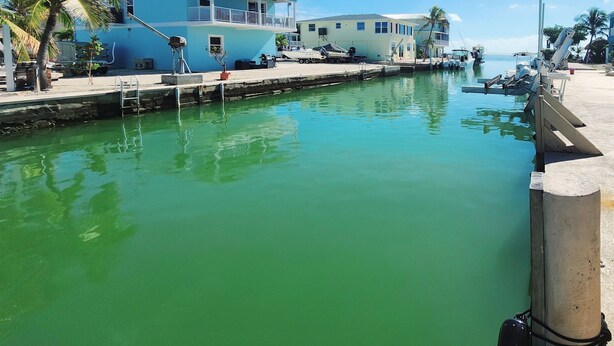 A marina with a blue building, boats, and a calm green water body. - Sea Gem-2/2 half duplex with quick ocean access, dockage  (Marathon)