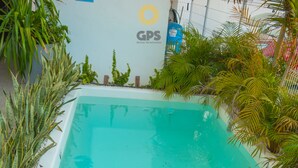 Una piscina rectangular con agua cristalina, rodeada de plantas y un muro de ladrillo.