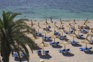 Una playa con hileras de sillas azules y sombrillas de paja, palmeras y una vista despejada del mar.