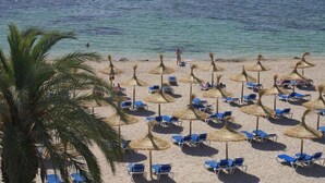 Una playa con hileras de sillas azules y sombrillas de paja, palmeras y una vista despejada del mar.