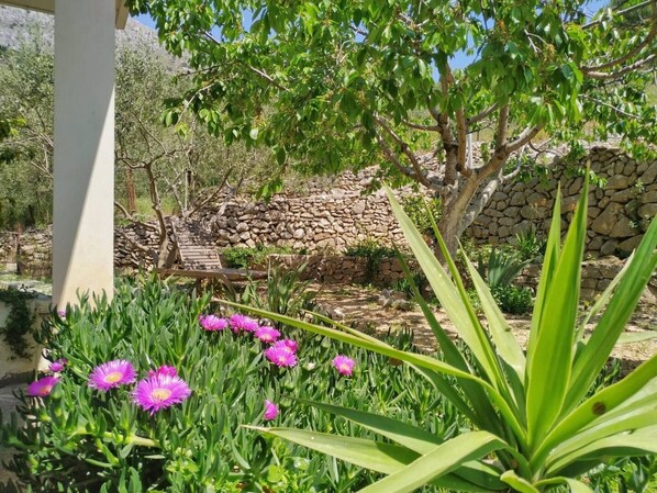 A garden with a stone wall, a wooden bench, and purple flowers.