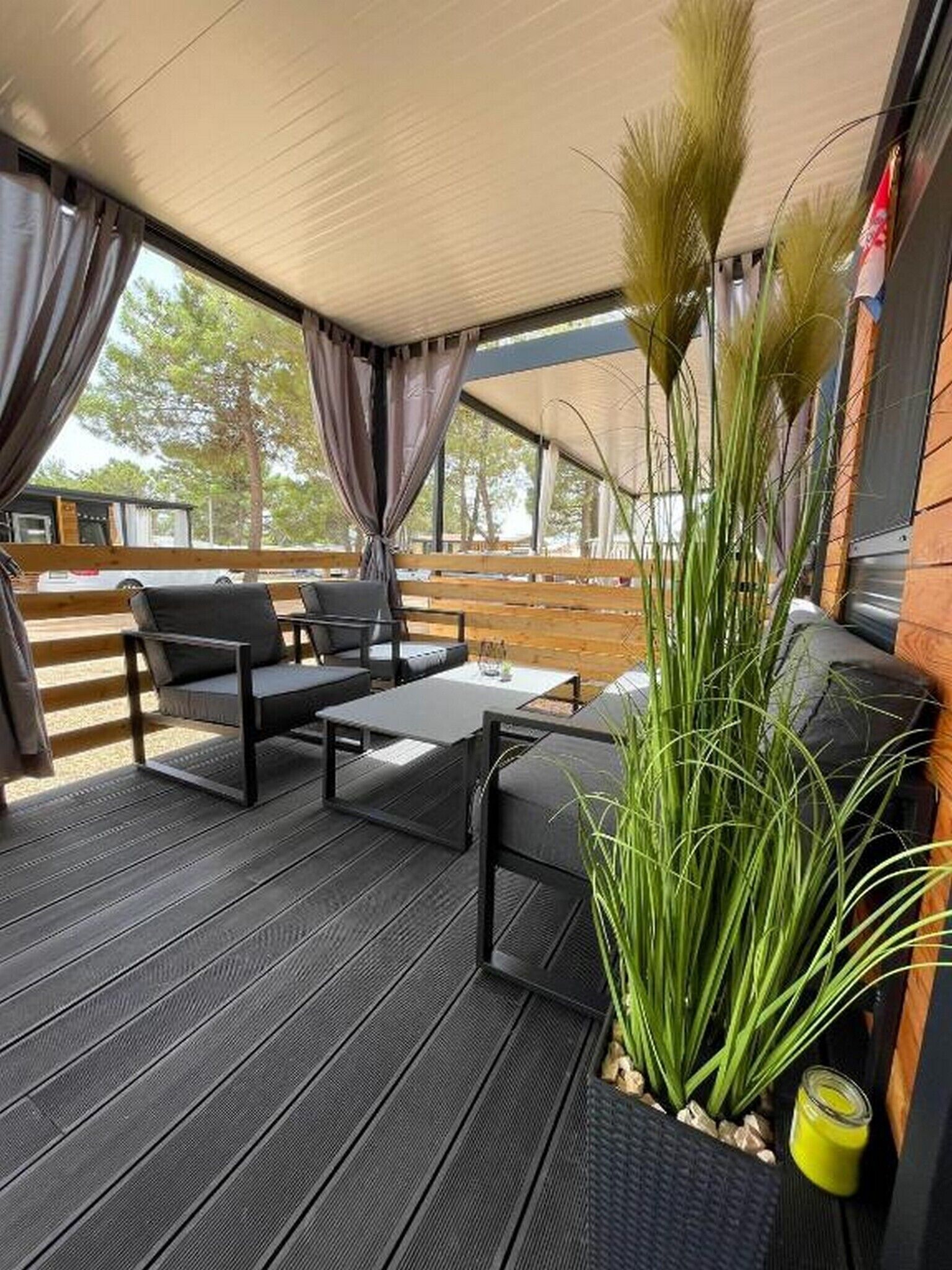 An outdoor seating area with a wooden deck, black furniture, and a large plant.