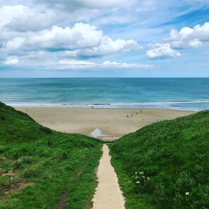 A beach with a clear path leading to the shore, surrounded by green grass.