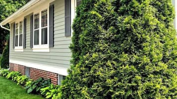 Classic home surrounded by mature trees in a serene environment.
