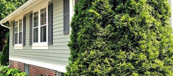 Stylish Family/Pet Friendly Cottage in Coveted Clark Park with Fenced In Yard