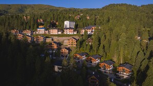 Uklassifisert bilde, 3 av 26, knapp