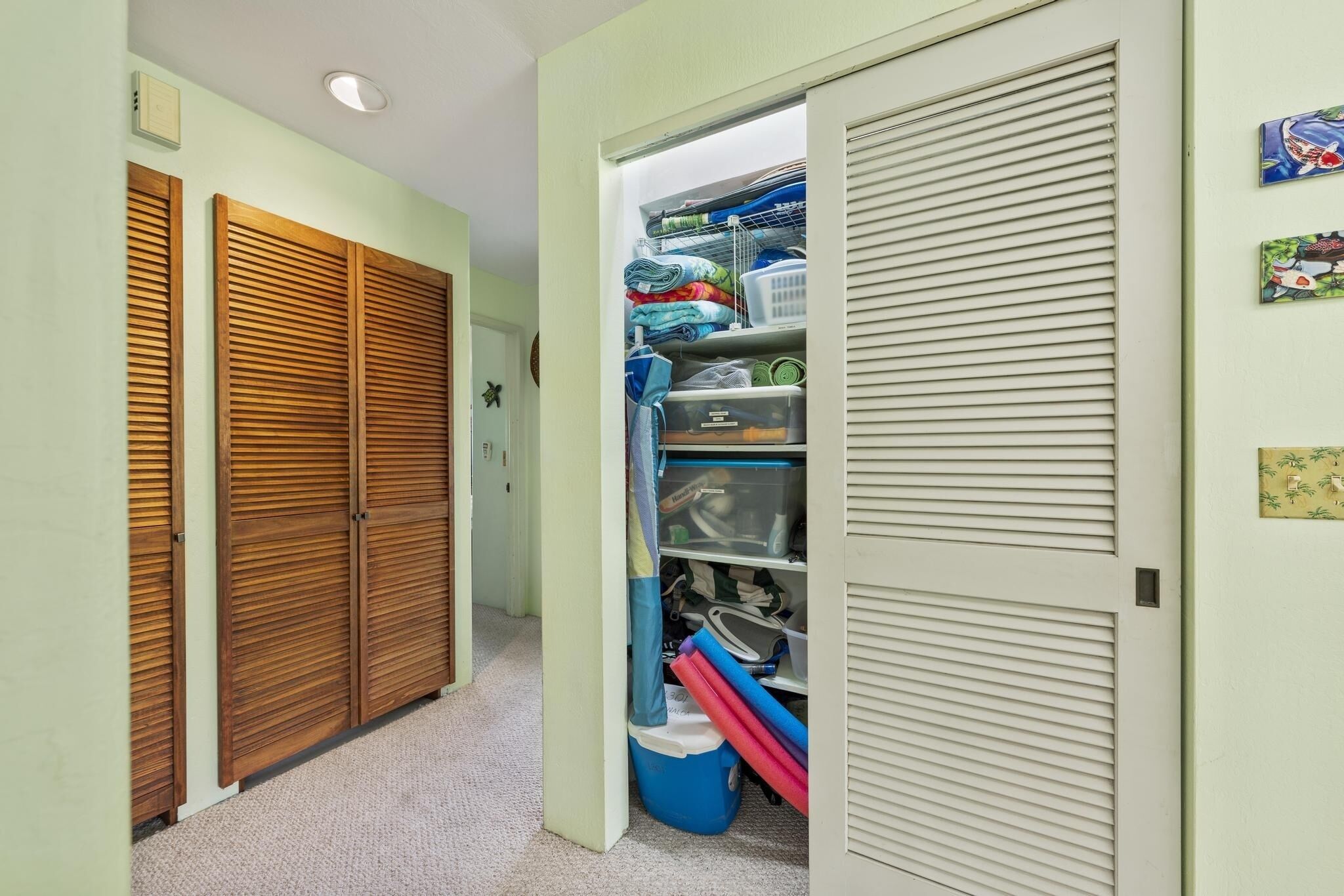 A hallway with a wooden closet on the left and a storage unit with shelves and bins on the right.