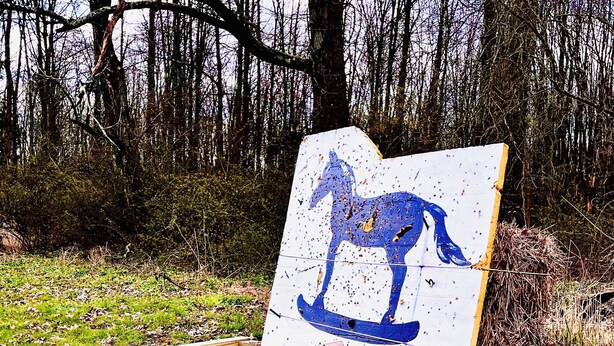 Un letrero de madera con la silueta azul de un caballo, rodeado de tierra cubierta de hojas.
