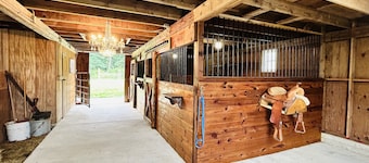Log Cabin Farm & Gathering Space on 11Preserved Acres for your Serene Getaway