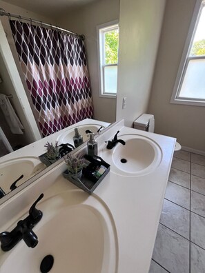 Hair dryer - One Bedroom Apartment in Kalamazoo with View (Kalamazoo)
