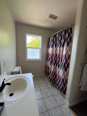 Hair dryer - One Bedroom Apartment in Kalamazoo with View (Kalamazoo)