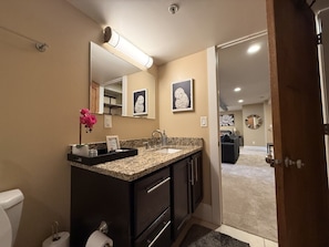 A bathroom with a granite countertop, a sink, a toilet, and a mirror. There are framed pictures on the wall and a pink orchid on the counter. - 131 Cedar 5 · Luxury Studio with Full Kitchen in Downtown Kalamazoo (Kalamazoo)
