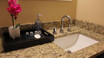 Hair dryer, soap, shampoo