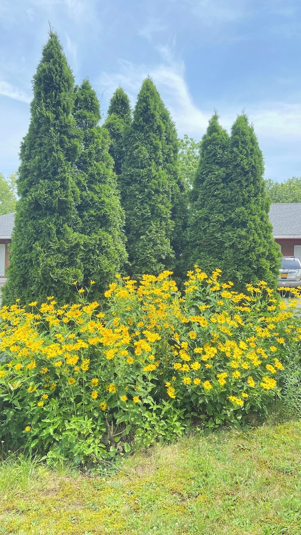 Majoituspaikan julkisivu