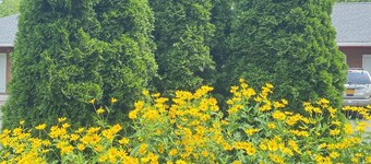 Hudson Valley 9w Motel