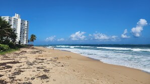 A beach with a clear sky, a sandy shore, and a tall building in the background.
